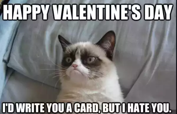 grumpy cat valentines meme